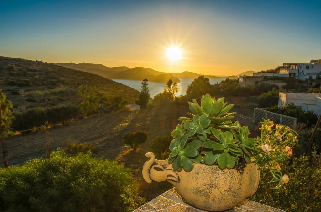 Palaios Rooms Plaka  Rum bild